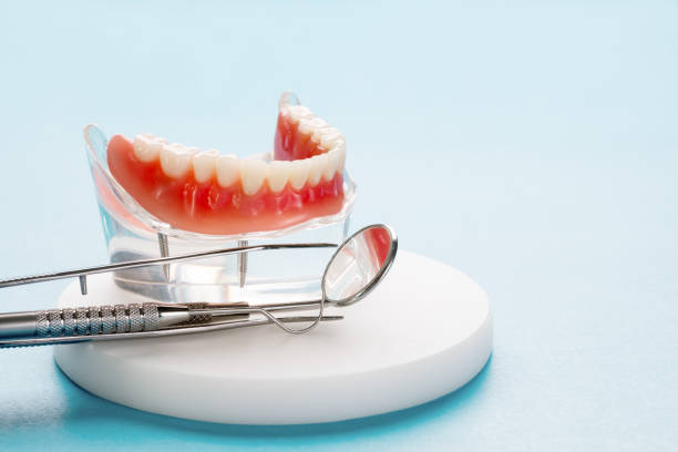 Professional Dental Services in Acton, CA